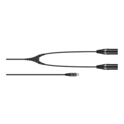 Y cable with 5-pin mini XLR to dual 3-pin XLR connectors for audio equipment.