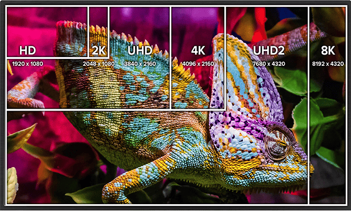 Colorful chameleon on a vibrant pink and green background.
